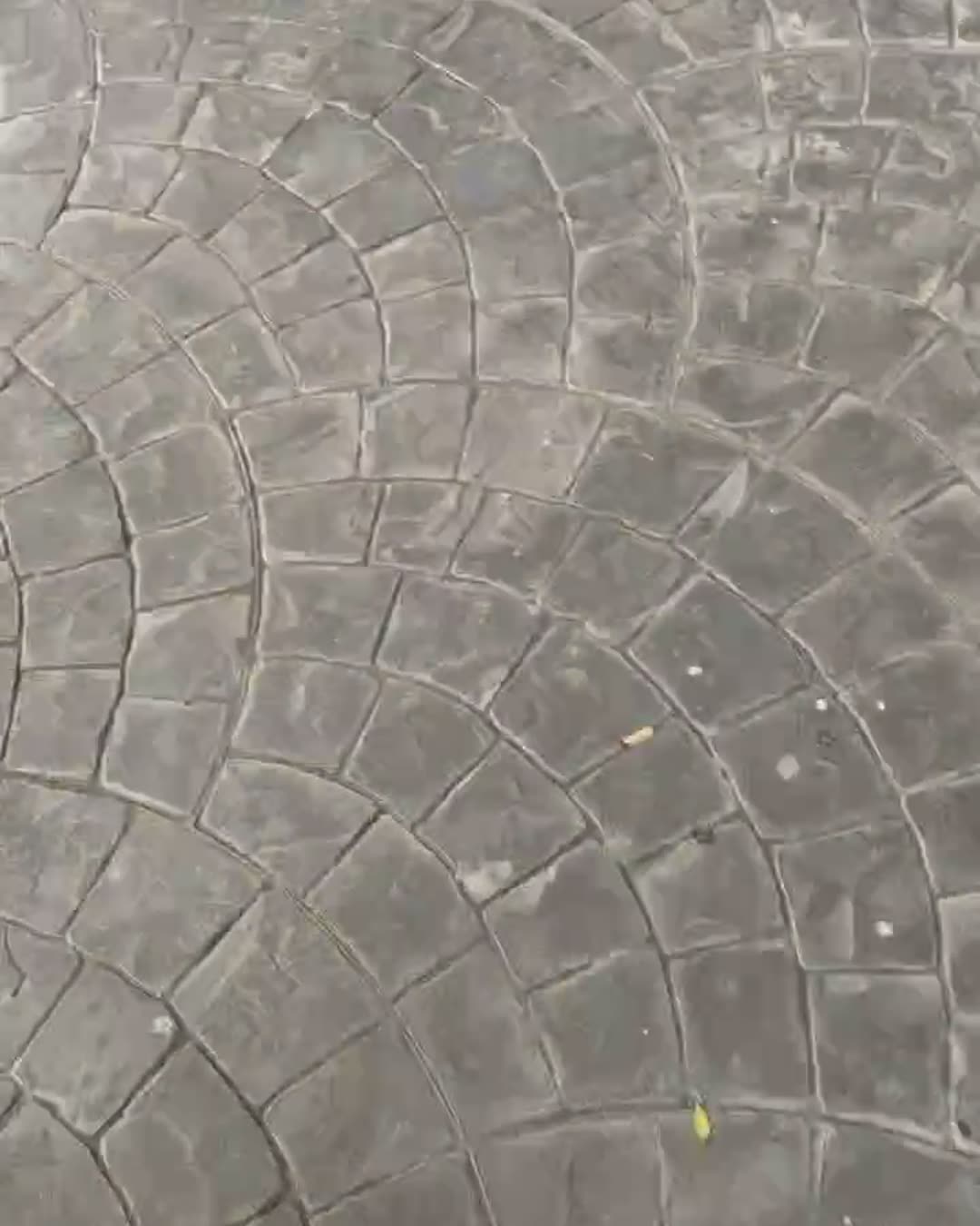 Béton imprimé motif éventail